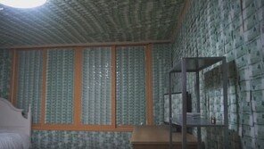 만원짜리로 방 도배·콜라 80병 한꺼번에 끓이기…“누구냐, 너?”