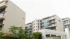 [스타부동산] 국내 최고 분양가 ‘한남더힐에 빈지노’가 산다?