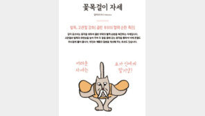 냥이에게 배우는 안방 요가