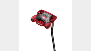 [Biz gallery] ‘스파이더 리미티드’ 첫 공개