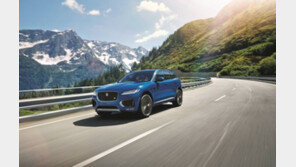 [CAR]품격의 차이 vs 액션의 참맛…선택의 폭, ‘확’ 넓어진다