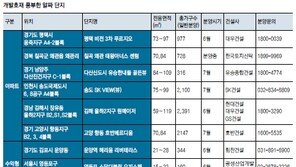 [화제의 분양현장]대형 개발호재 업은 알짜단지 분양 잇달아