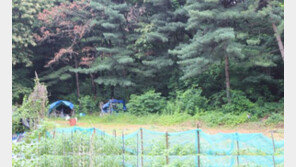 [화제의 분양현장]과천토지, 그린벨트 수혜지역… 지식정보타운 인접 알짜땅 3.3m²당 35만원