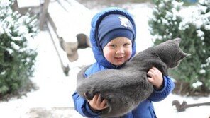 고양이가 싫어하는 행동 5가지