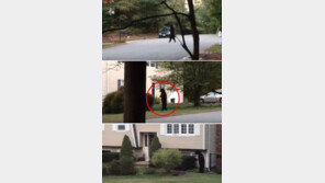 [영상] ‘웅녀’의 환생? 사람처럼 두발로 걷는 곰, 알고보니…