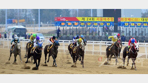 렛츠런파크 서울 ‘축제의 밤’…야간경마 시즌 맞아 야시장·바이크 레이스 등 열어