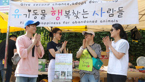 [오늘의 채널A] 유기동물 돕기 바자회 ‘인산인해’