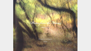 [Culture diary] 사진에 미친 의사와 ‘고흐 그림을 닮은 사진’