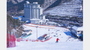 [Biz gallery] 엘리시안강촌 스키장, 시즌권 특가 판매