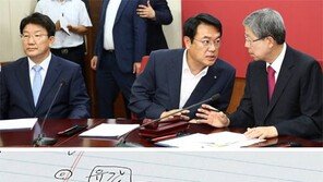 최경환 나설까… 복당 갈등 봉합하자마자 당권 수싸움