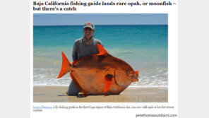 45kg 월척, 믿기 힘들게 예쁜 물고기 잡혀