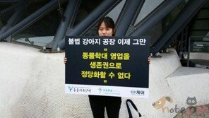 거리에 나온 개 번식업계 종사자들