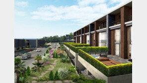 [스마트 컨슈머]새로운 삶을 시작하기 딱 좋은 곳 제주, 이주 바람이 분다 