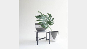 [2016 대한민국 퍼스트클래스 대상]온더사이드의 글로벌 프리미엄 화분, 국내 취향 사로잡다