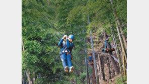[여름을 시원하게]여름여행, 추억과 자연 숨쉬는 농촌마을로 떠나요 