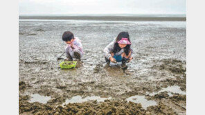 [여름을 시원하게]7월에 떠나는 여름여행, 여기 어떨까? 