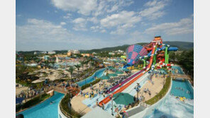 [여름을 시원하게]경주 캘리포니아비치서 한 방에 둘 다 즐기는 ‘썸머 콜라보’ 