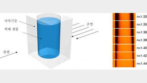 그림자만 봐도 ‘수박 당도-폭탄주 도수’ 알 수 있어요