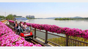 [2016대한민국 경영대상]의왕시, 애물단지 호수를 관광명소로… 철도박물관 유치 탄력