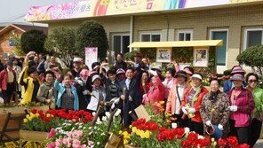 [2016대한민국 경영대상]장성군, 연중 노란색 꽃 활짝… ‘色’ 다른 마케팅 결실 