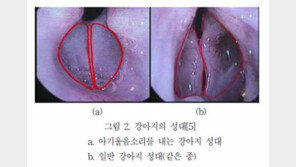 '아기 울음소리 내는 강아지, 우연이 아니다'