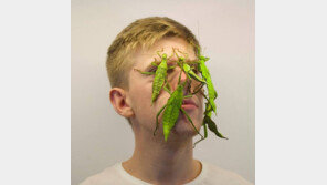 취미로 희귀 곤충 키우던 18세 소년, 회사 세워 ‘대박’