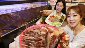 “산오징어 3마리에 1만6500원”