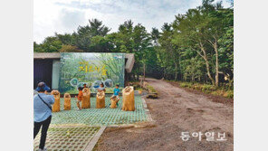 “울창한 숲속에서 힐링하세요”