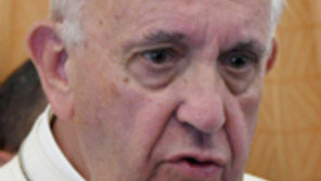 교황 “목욕물 버리려다 안에 있는 아기까지 버리면 안돼”