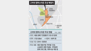 유흥문화 대학가를 창업요람으로