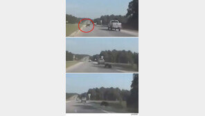 차량과 곰이 충돌하는 아찔한 순간