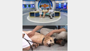 한국직업방송 '신직업의 발견'..동물매개심리사편 방영