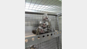 [Health&Beauty]오송재단 실험동물센터, 식약처서 첫 품목 승인 성과 