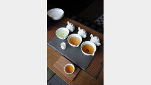 [Health&Beauty]사계절 내내 미세먼지에 지친 몸, 녹차로 지키세요 