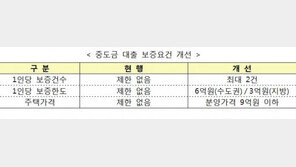 9억 이상 아파트 중도금대출 제한