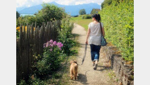 똑똑한 강아지 만드는 필수명령 5가지