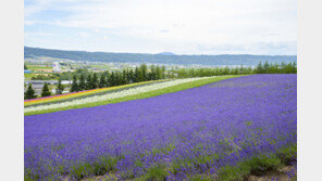 [Biz gallery] 제주항공, 코타키나발루·삿포로 신규 취항