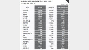[Money&Life]높은 주가 상승률에 뜨거운 인기… 하반기 공모주 투자 전략은? 