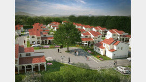 [화제의 분양현장]주한미군 이전 최대수혜지 평택, 렌털하우스가 뜬다 