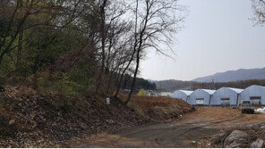 [화제의 분양현장]판교 창조경제밸리 앞 알짜 토지 