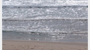 태국 푸껫으로 신혼여행 한국인 아내, 해변서 숨진 채 발견…남편은 실종 상태