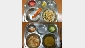 ‘수박 한 조각·꼬치 한 개’…상상초월 부실급식에 온라인 ‘발칵’