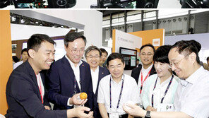 SKT-KT, 육성 벤처들 中공략 전폭 지원