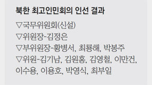 ‘김정일의 국방위’ 폐지… 본격 김정은 시대로