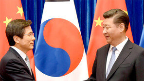 시진핑 “사드 배치 신중해야”… 황교안 총리 “中 불법조업 해결을”