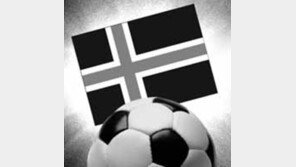 [횡설수설/고미석]아이슬란드의 마법 축구