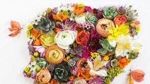 꽃으로 만든 초상화 작품, 인기