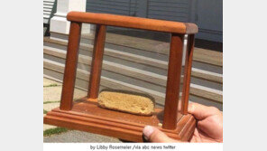 40년 동안 썩지 않은 케이크 과자