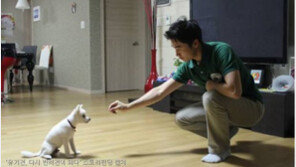 "유기견, 다시 반려견이 되다" 스토리펀딩