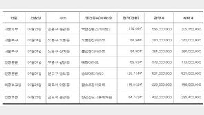 [경매물건]서울 도봉구 동아에코빌 아파트 84.96㎡ 3억8700만 원